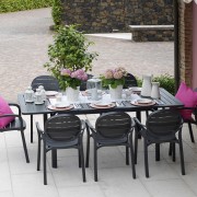nardi_6218