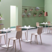 babila-ristorante-bio_001