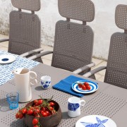 nardi_6231