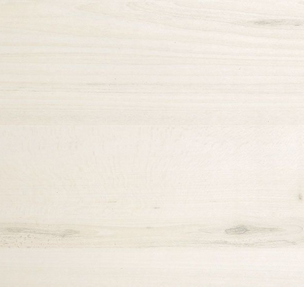 0220_tilia_tree