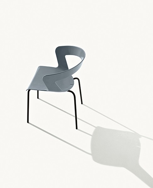 ibis_apertura_01